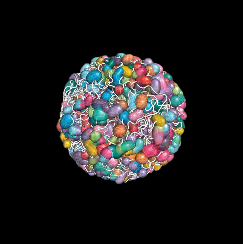 Colorful blobs wrapped in tangled strings of DNA