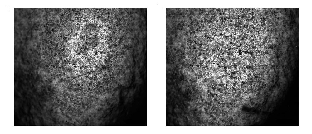 An image of mouse liver tissue taken with traditional photoacoustic microscopy (left) compared to an image of mouse liver tissue taken with needle-shaped beam photoacoustic microscopy (right). In the image at the right, structures are in focus over a greater range of depth.