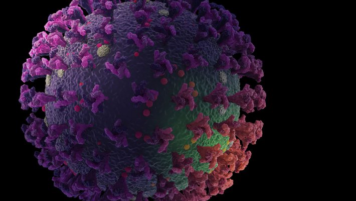 Stock image illustration of a coronavirus, spherical with spiky proteins sticking out of the surface