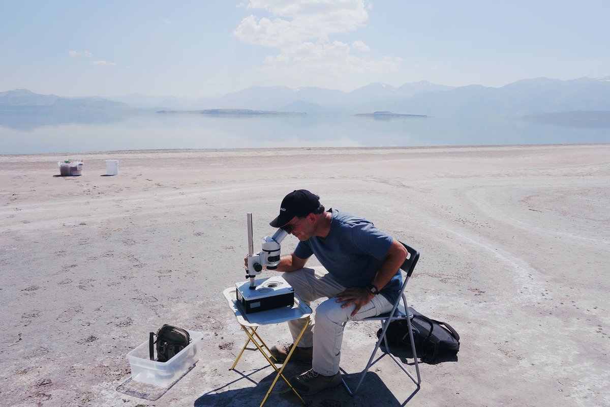 Researchers examine nematodes by Mono Lake in the Eastern Sierras of California.