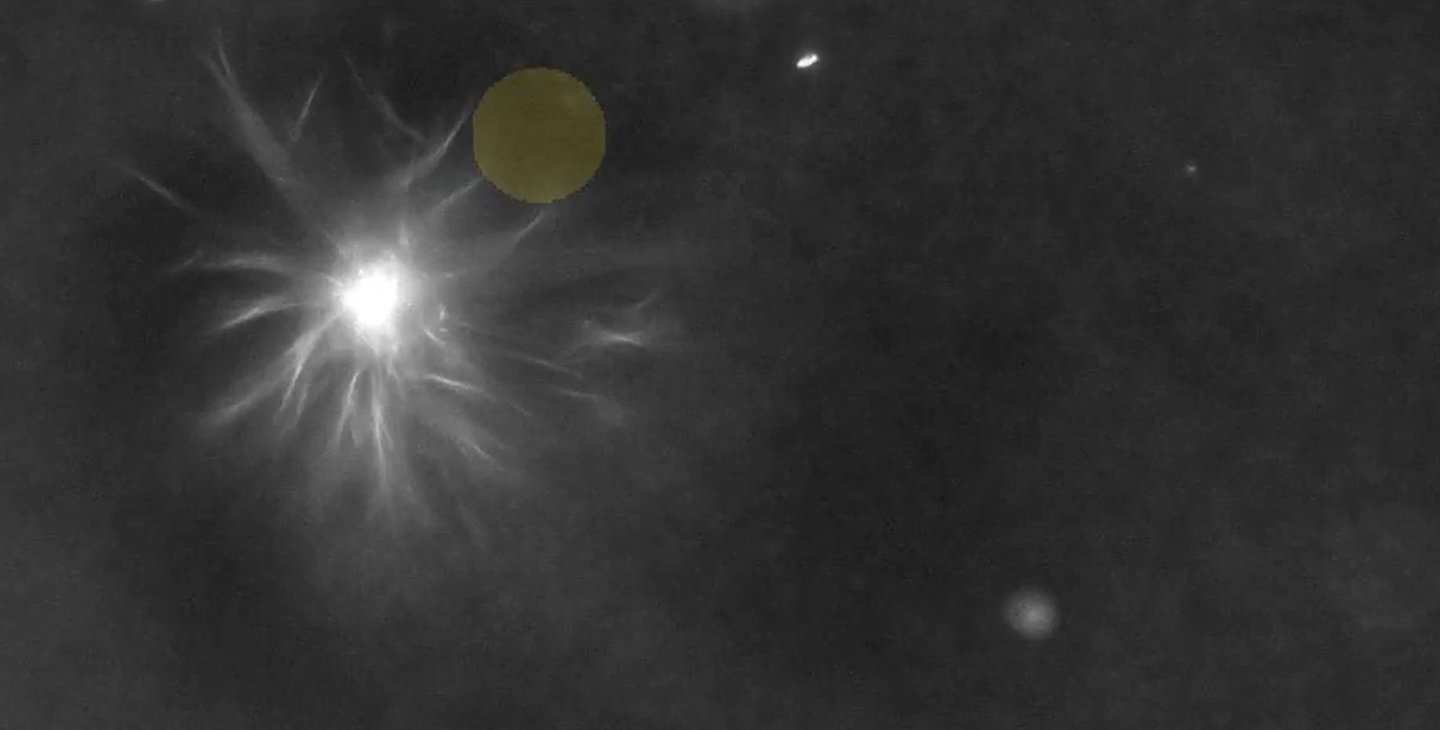 White star-shaped structure