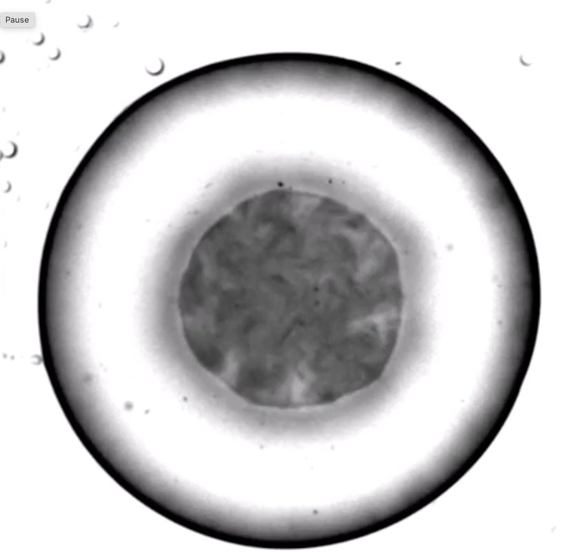 a donutlike drop with a turbulence at the core. Smaller droplets can be seen in the image.