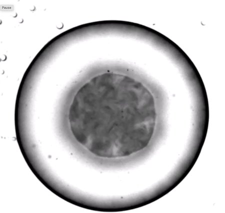 a donutlike drop with a turbulence at the core. Smaller droplets can be seen in the image.