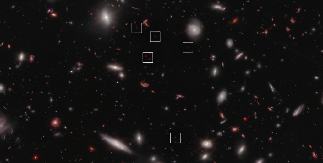 An image of many oval and spiral shaped galaxies