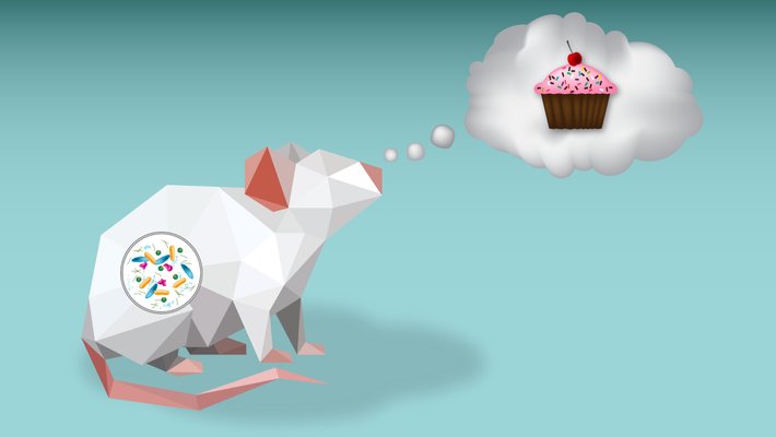 Cartoon mouse with a thought bubble of a cupcake