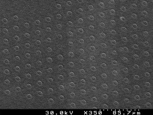 ScanningElectronMicrograph-300.jpg