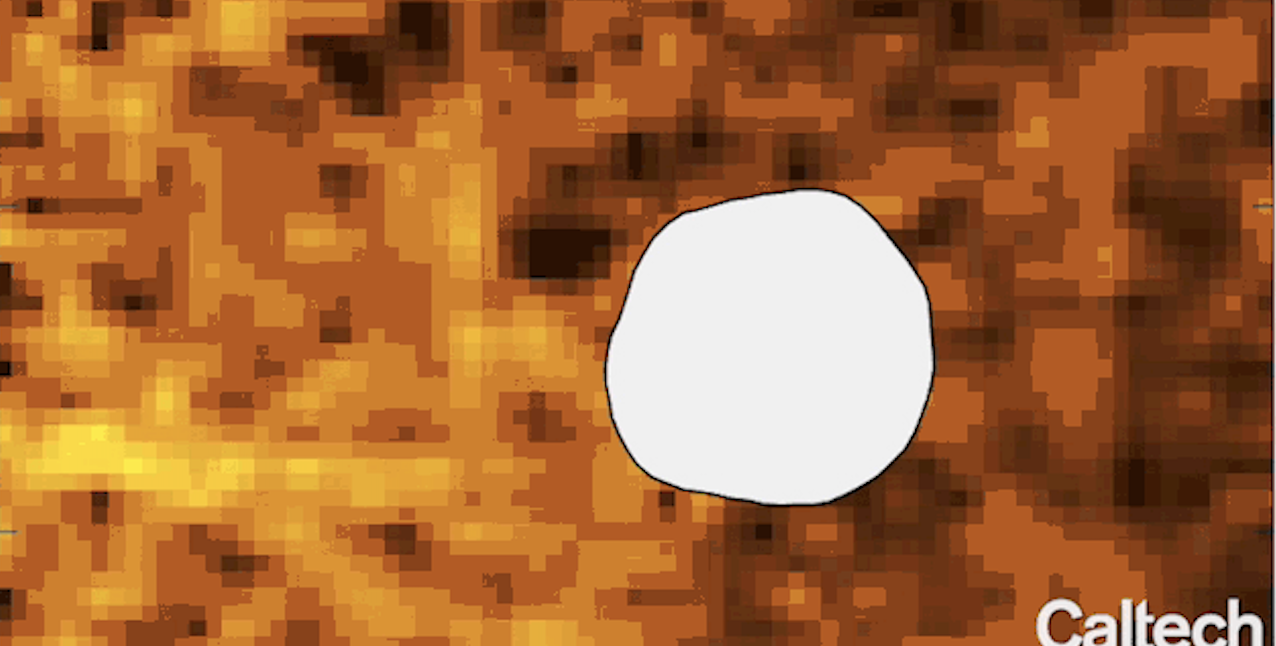 A cell (white blob) trying to navigate through a patchy signaling environment. High concentrations of signals are in yellow, low in dark orange or black.