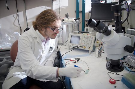 A student engages in research in a lab. 