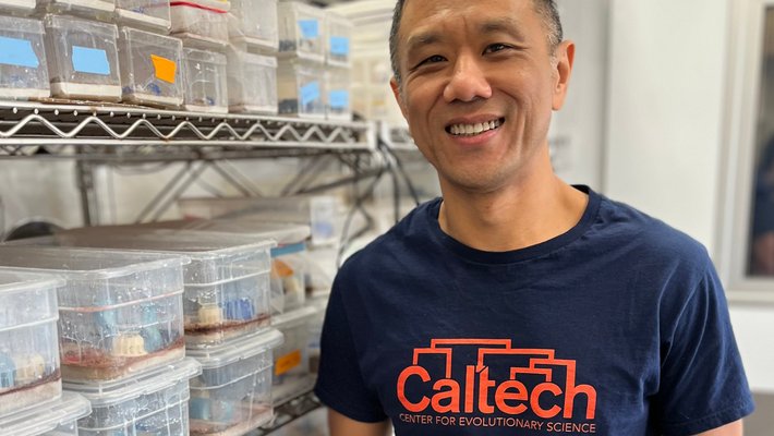 John Truong in lab