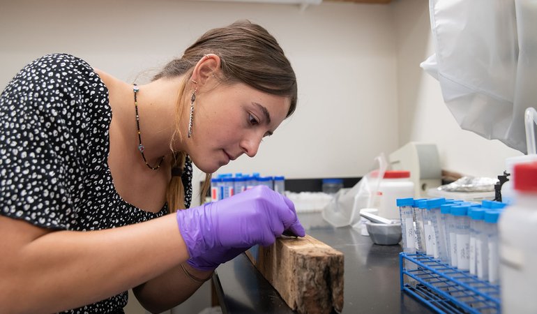 woman works in lab