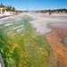 Bacterial mats