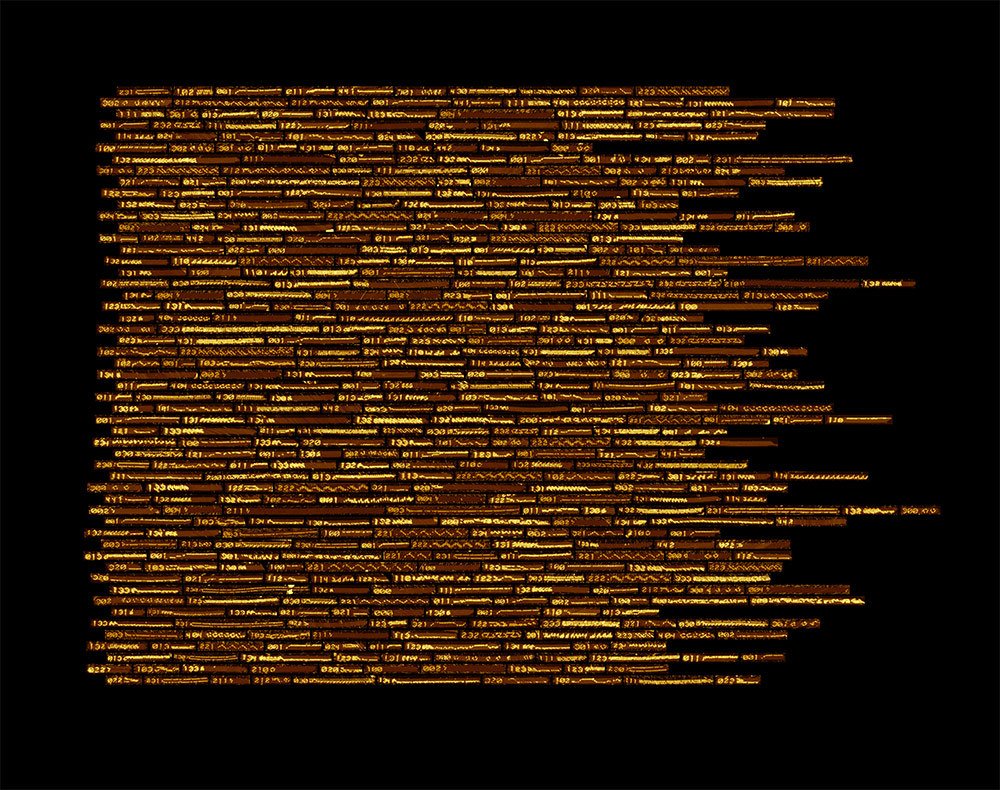 DNA algorithms