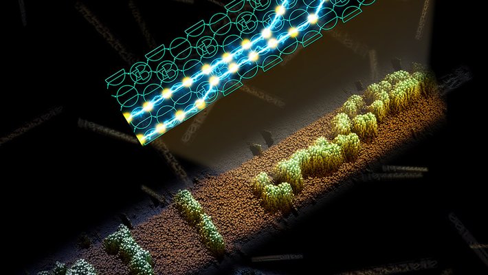 DNA scarf