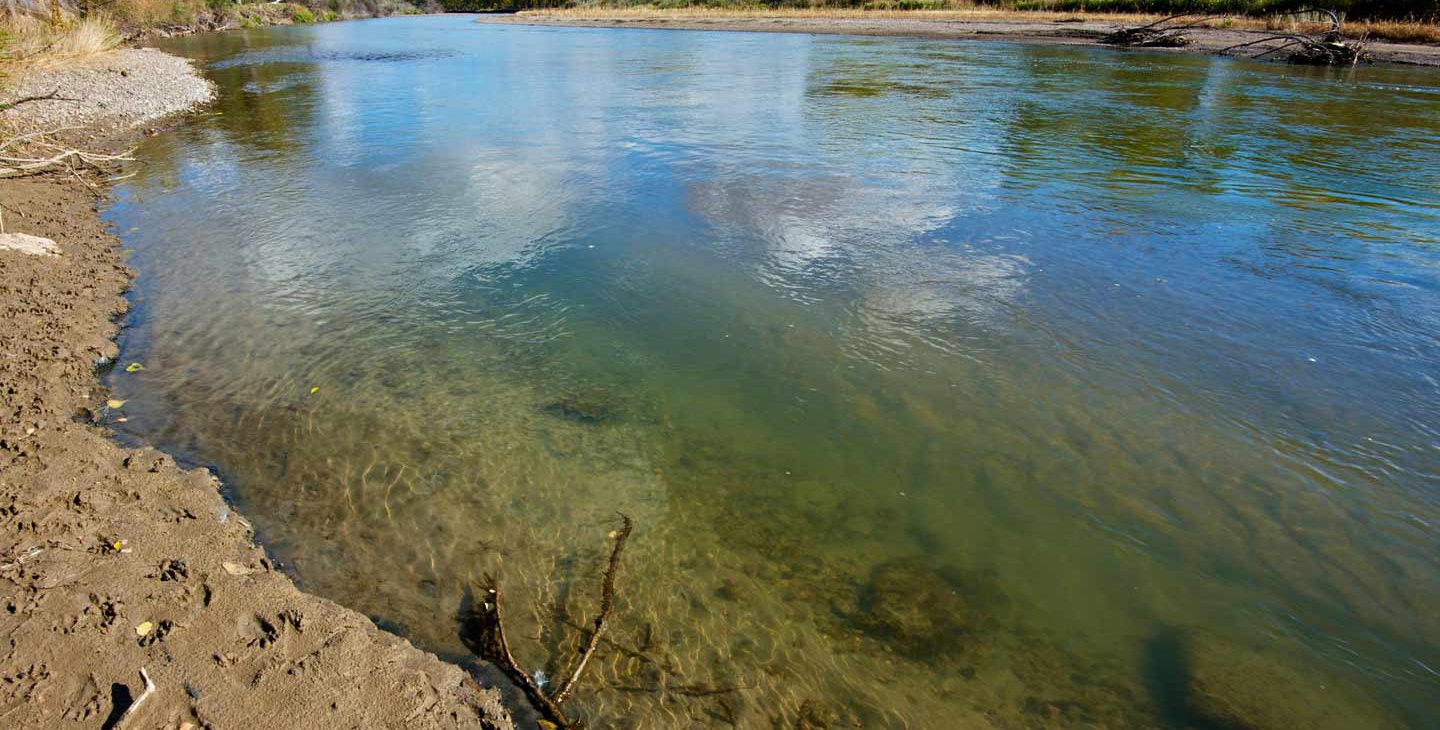 Stock image of a riverbank
