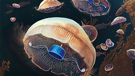 animated illustration of jellyfish with prosthetic