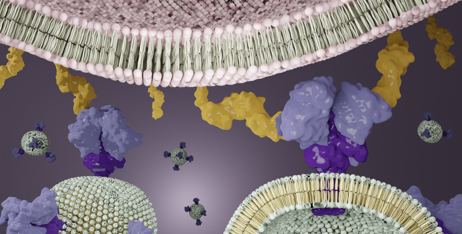 Illustration of HIV proteins binding to a cell