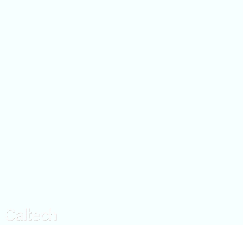 cellular imaging