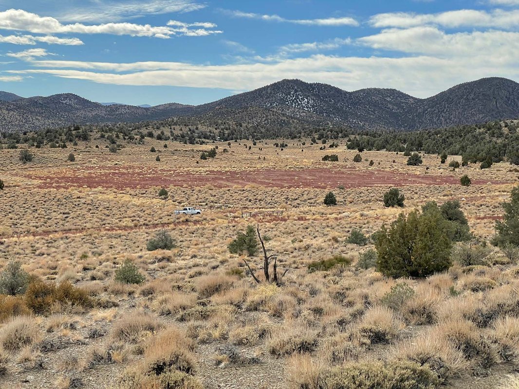 The CARMA site after restoration.