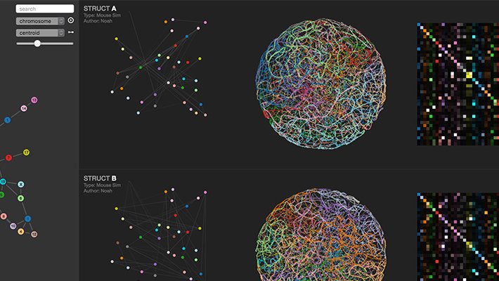 comparison-rows-genome