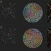 comparison-rows-genome