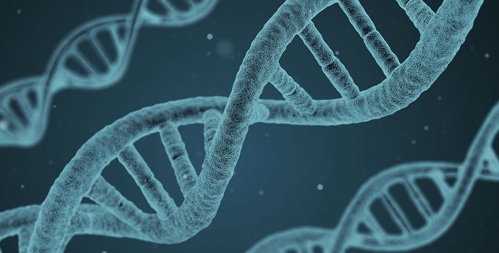 DNA