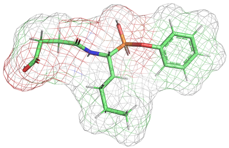 a molecular structure with an irregularly shaped mesh envelope roughly following the outline of the molecule