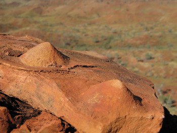 grotzinger_conical_stromatolites.jpg
