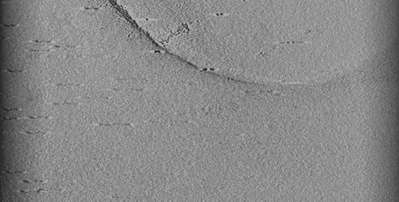 A black-and-white electron tomography (ET) video of an archaeon.