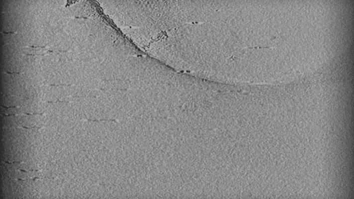 A black-and-white electron tomography (ET) video of an archaeon.