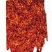 BOOMERANG image of the early universe.