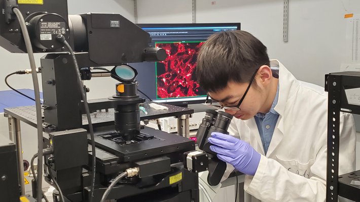 Graduate student Jiajun Du takes a stimulated Raman image of melanoma cancer cells in the lab.