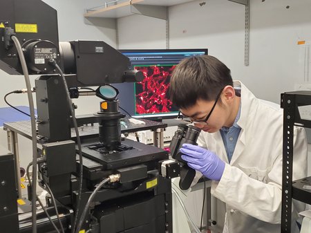 Graduate student Jiajun Du takes a stimulated Raman image of melanoma cancer cells in the lab.