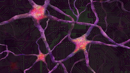 neuron activity