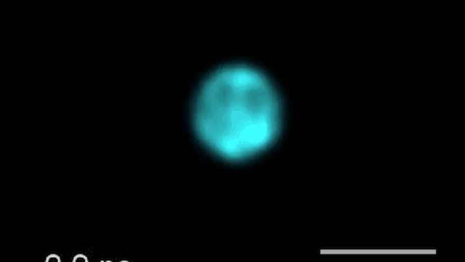 A blue dot on a black background spreads outward, indicating an expanding shockwave in water.