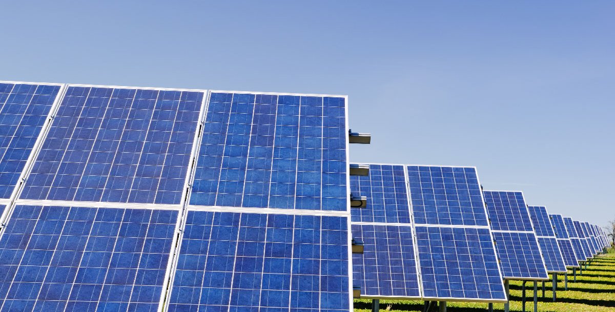 Solar panels in a grassy field