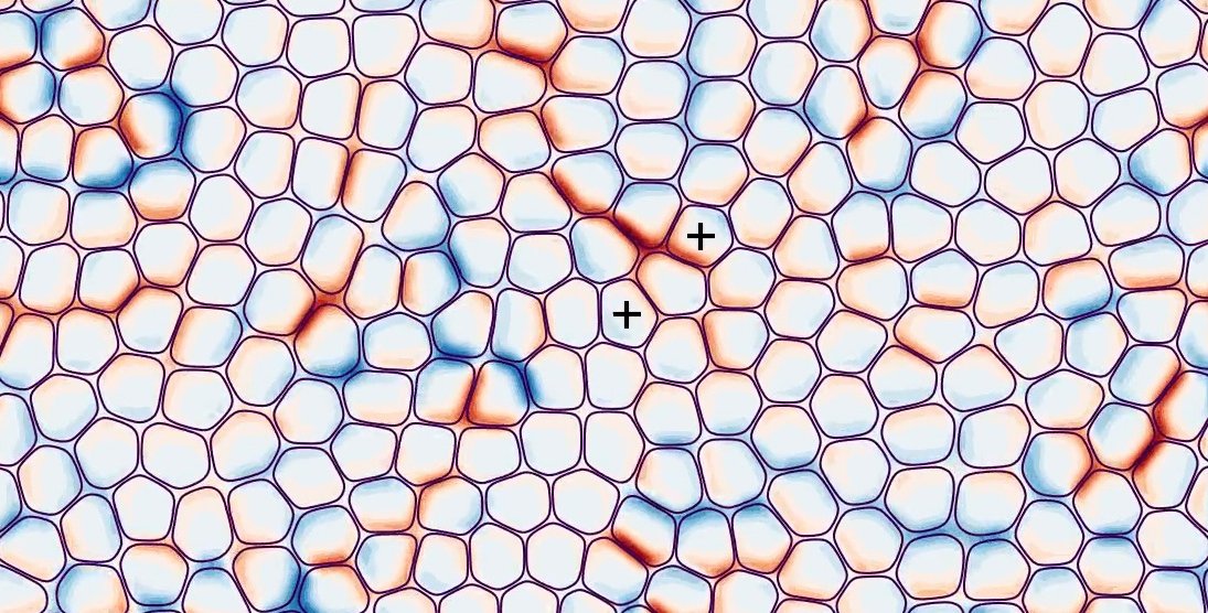 Many red and blue spherical shapes packed in together