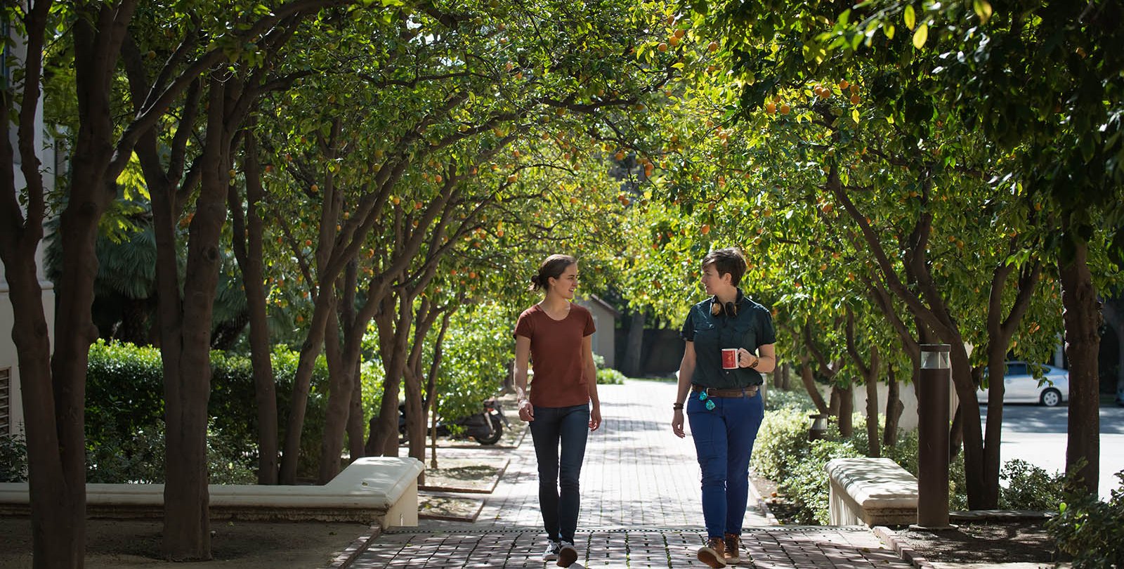 students on Caltech campus