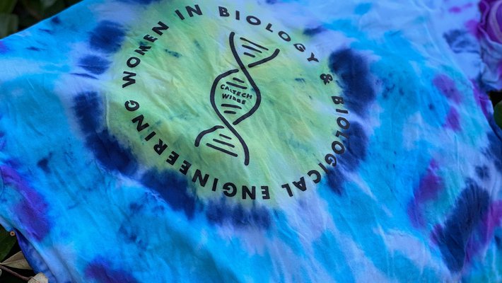 a blue tie dye t-shirt with the logo for women in BBE