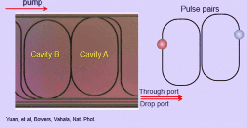 An animated gif showing what looks like a figure 8. Around each half of the 8 circulates a colored dot representing an optical pulse. The pulses remain in sync.
