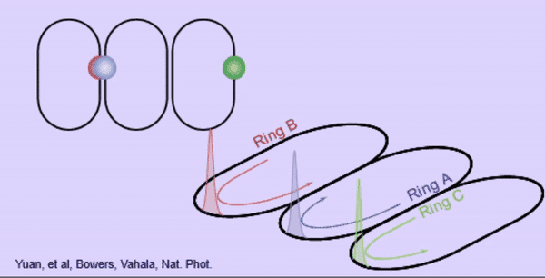 An animated gif showing optical pulses circulating through three conjoined optical tracks. The pulses remain in sync.