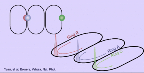 An animated gif showing optical pulses circulating through three conjoined optical tracks. The pulses remain in sync.