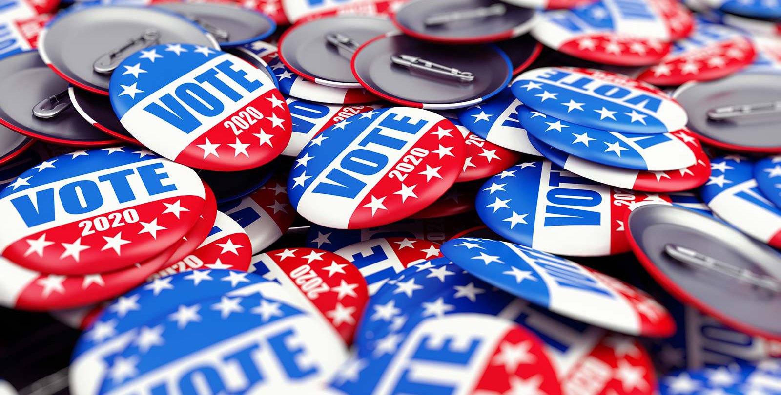 voting buttons for 2020