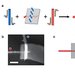Assembling switches of carbon nanotubes controlled by DNA