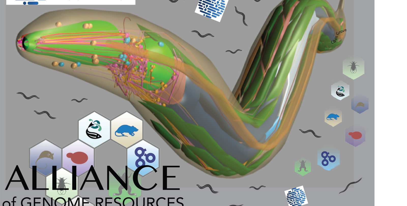 A graphic of a digital-art nematode and logos for WormBase