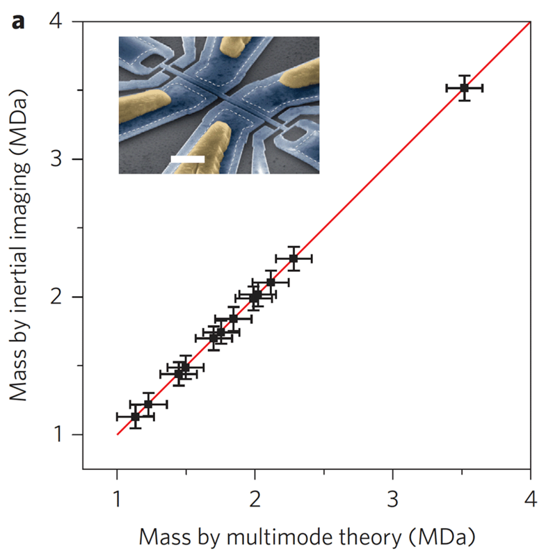 MassSpec
