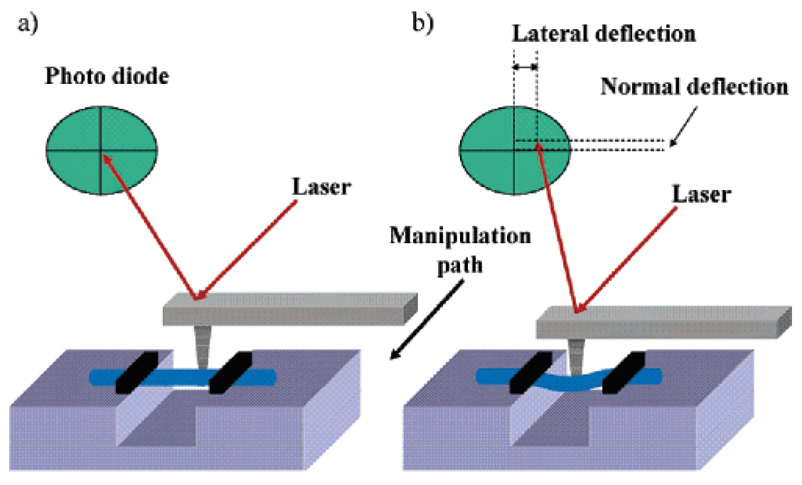 NanowireAFM
