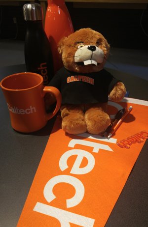 Beaver toy and Caltech penent