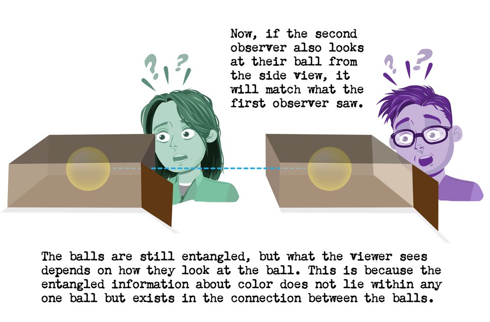Now, if the second observer also looks at their ball from the side view, it will match what the first observer saw. The ball sare still entangled, but what the viewer sees depends on how they look at the ball. This is because the entangled information about color does not lie within any one ball but exists in the connection between the balls.
