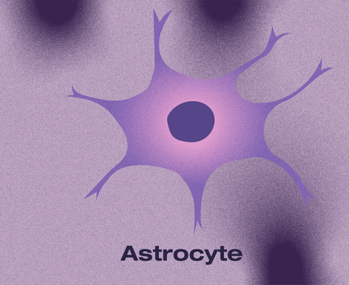 A stylized illustration of an astrocyte, a star-shaped glial cell, depicted in shades of purple with branching extensions. The background is a soft purple gradient, complementing the cell's abstract appearance.