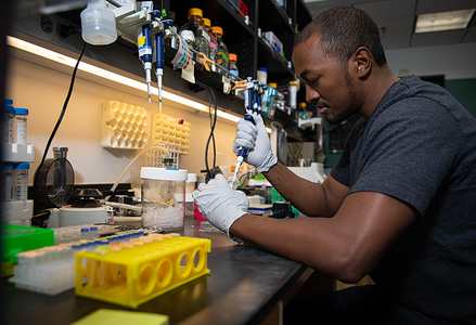 Scientist Christopher Barnes seated at a lab bench and pipetting with gloves on